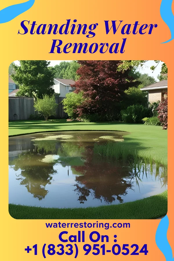 Standing Water Removal in Holdrege, NE